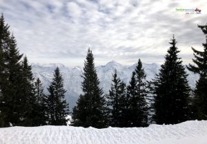 Rauschberg - Die Winterlandschaft
