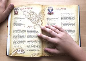 Die geheime Drachenschule Buch im Buch